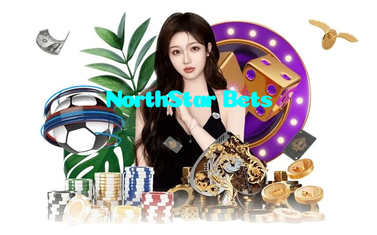 available types of NorthStar Bets bet including pre-match live express and system bets